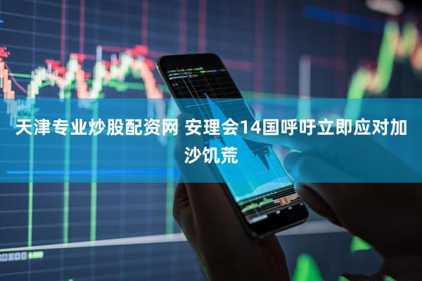 天津专业炒股配资网 安理会14国呼吁立即应对加沙饥荒
