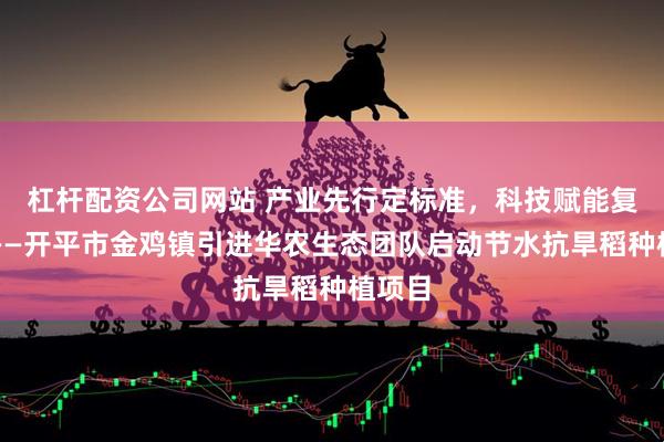 杠杆配资公司网站 产业先行定标准，科技赋能复耕忙——开平市金鸡镇引进华农生态团队启动节水抗旱稻种植项目